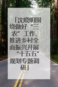 沈晓明围绕做好“三农”工作、推进乡村全面振兴开展“十五五”规划专题调研