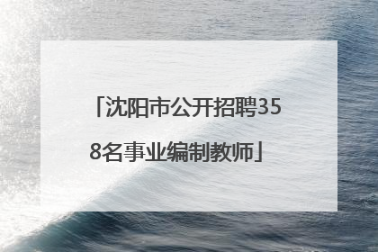 沈阳市公开招聘358名事业编制教师