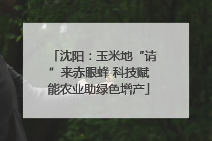 沈阳：玉米地“请”来赤眼蜂 科技赋能农业助绿色增产