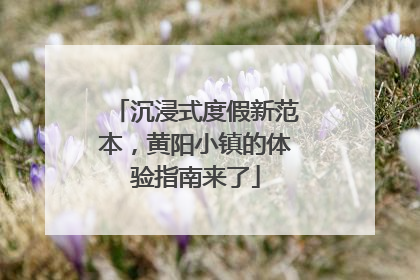 沉浸式度假新范本，黄阳小镇的体验指南来了