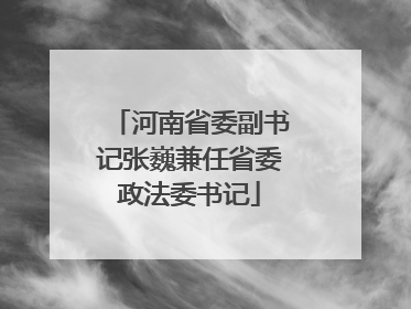 河南省委副书记张巍兼任省委政法委书记