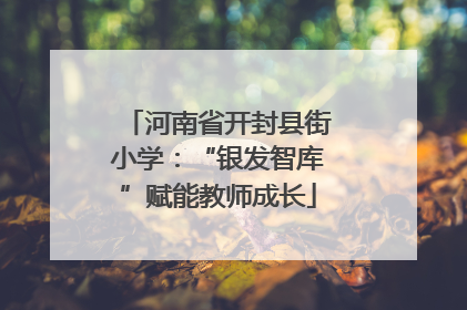 河南省开封县街小学：“银发智库”赋能教师成长