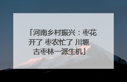 河南乡村振兴：枣花开了 枣农忙了 川塬古枣林一派生机