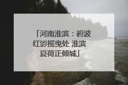 河南淮滨：碧波红影摇曳处 淮滨夏荷正倾城