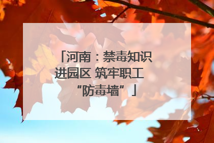 河南：禁毒知识进园区 筑牢职工“防毒墙”