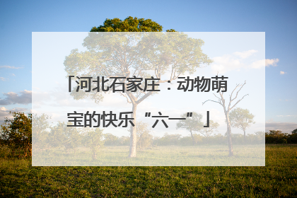 河北石家庄：动物萌宝的快乐“六一”