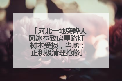 河北一地突降大风冰雹致房屋路灯树木受损，当地：正积极清理抢修