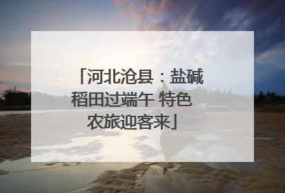 河北沧县：盐碱稻田过端午 特色农旅迎客来