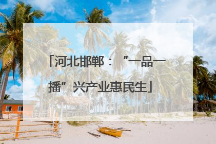 河北邯郸：“一品一播”兴产业惠民生