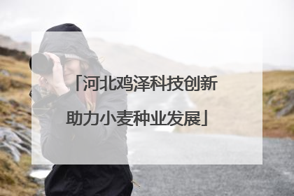 河北鸡泽科技创新助力小麦种业发展