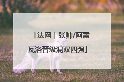 法网｜张帅/阿雷瓦洛晋级混双四强