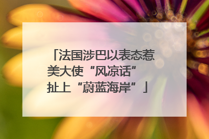 法国涉巴以表态惹美大使“风凉话” 扯上“蔚蓝海岸”