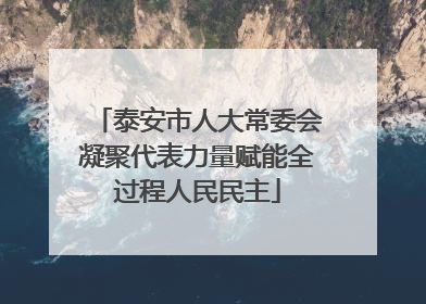 泰安市人大常委会凝聚代表力量赋能全过程人民民主
