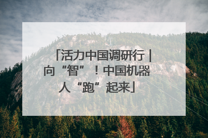 活力中国调研行｜向“智”！中国机器人“跑”起来