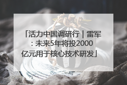 活力中国调研行｜雷军：未来5年将投2000亿元用于核心技术研发