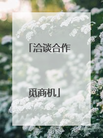 洽谈合作觅商机