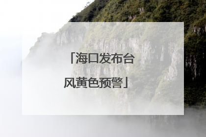 海口发布台风黄色预警