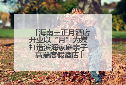 海南三正月酒店开业以“月”为媒打造滨海家庭亲子高端度假酒店