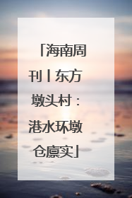海南周刊丨东方墩头村：港水环墩仓廪实