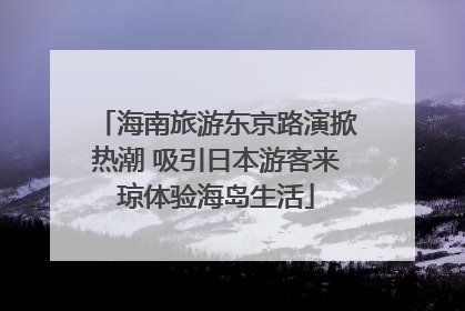 海南旅游东京路演掀热潮 吸引日本游客来琼体验海岛生活