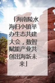 海南陵水海归小镇举办生态共建大会，数智赋能产业共创出海新未来