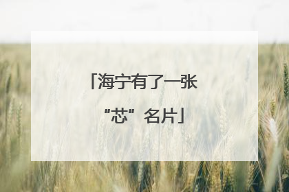 海宁有了一张“芯”名片