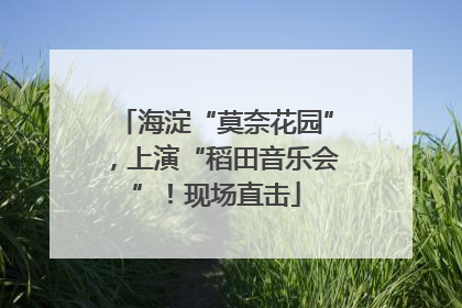 海淀“莫奈花园”，上演“稻田音乐会”！现场直击