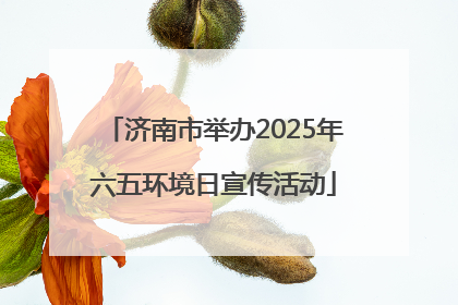 济南市举办2025年六五环境日宣传活动