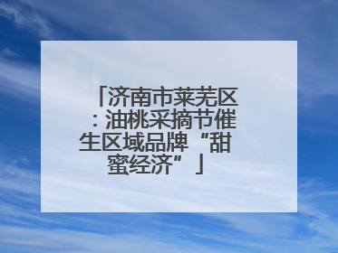 济南市莱芜区：油桃采摘节催生区域品牌“甜蜜经济”