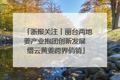浙报关注丨丽台两地姜产业抱团创新发展 缙云黄姜跨界俏销