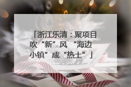 浙江乐清：聚项目吹“新”风 “海边小镇”成“热土”