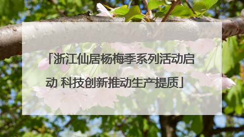 浙江仙居杨梅季系列活动启动 科技创新推动生产提质