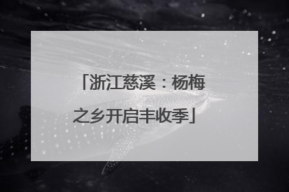 浙江慈溪：杨梅之乡开启丰收季
