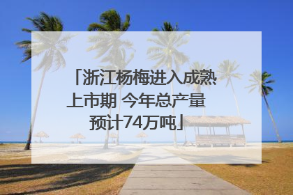 浙江杨梅进入成熟上市期 今年总产量预计74万吨