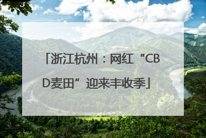 浙江杭州：网红“CBD麦田”迎来丰收季