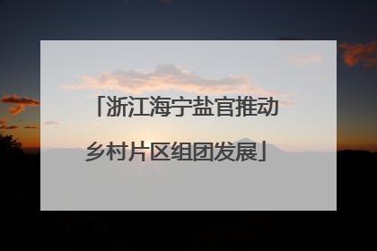 浙江海宁盐官推动乡村片区组团发展