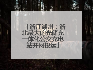 浙江湖州：浙北最大的光储充一体化公交充电站并网投运