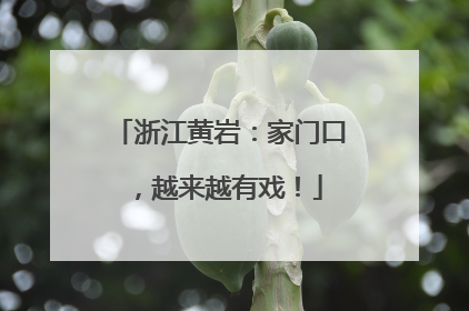 浙江黄岩：家门口，越来越有戏！