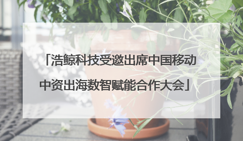 浩鲸科技受邀出席中国移动中资出海数智赋能合作大会