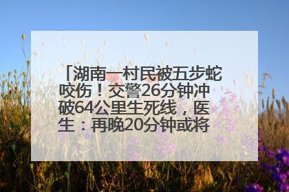 湖南一村民被五步蛇咬伤！交警26分钟冲破64公里生死线，医生：再晚20分钟或将呼吸肌麻痹