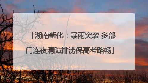 湖南新化：暴雨突袭 多部门连夜清障排涝保高考路畅