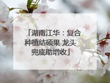 湖南江华：复合种植结硕果 龙头兜底助增收