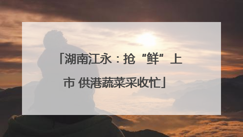 湖南江永：抢“鲜”上市 供港蔬菜采收忙