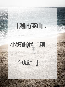 湖南蓝山：小镇崛起“箱包城”