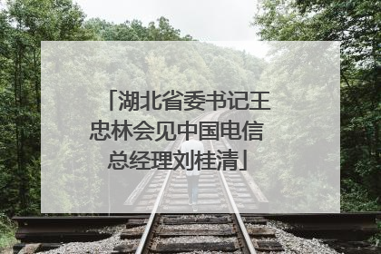 湖北省委书记王忠林会见中国电信总经理刘桂清