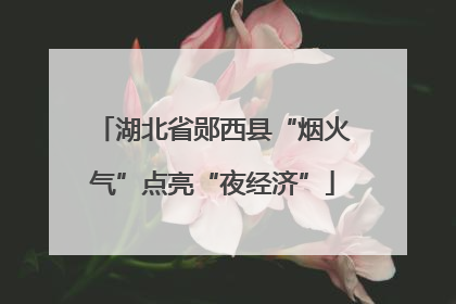 湖北省郧西县“烟火气”点亮“夜经济”
