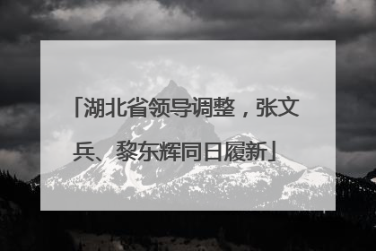 湖北省领导调整，张文兵、黎东辉同日履新