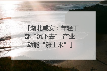 湖北咸安：年轻干部“沉下去” 产业动能“涨上来”
