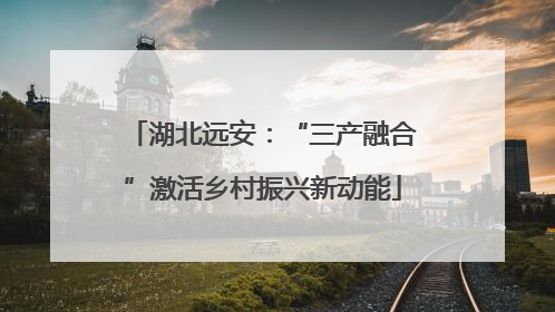 湖北远安：“三产融合”激活乡村振兴新动能