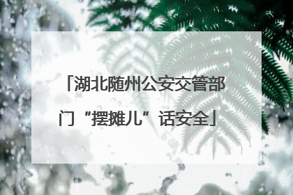 湖北随州公安交管部门“摆摊儿”话安全